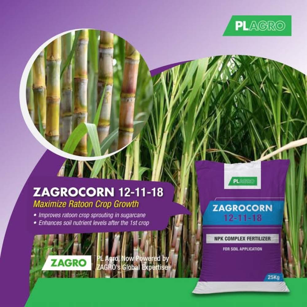 Boost Your Ratoon Crop Growth with Zagrocorn 12-11-18!